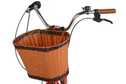 Velokorb vorne braun/schwarz