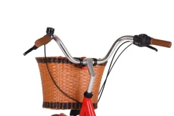 Velokorb vorne braun/schwarz