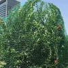 Vogelschutznetz 5 x 2 m