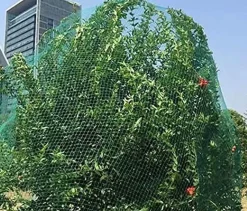 Vogelschutznetz 5 x 2 m