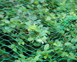Vogelschutznetz 5 x 2 m