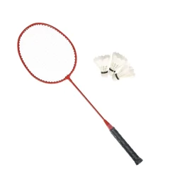 Volleyball und Badminton Set