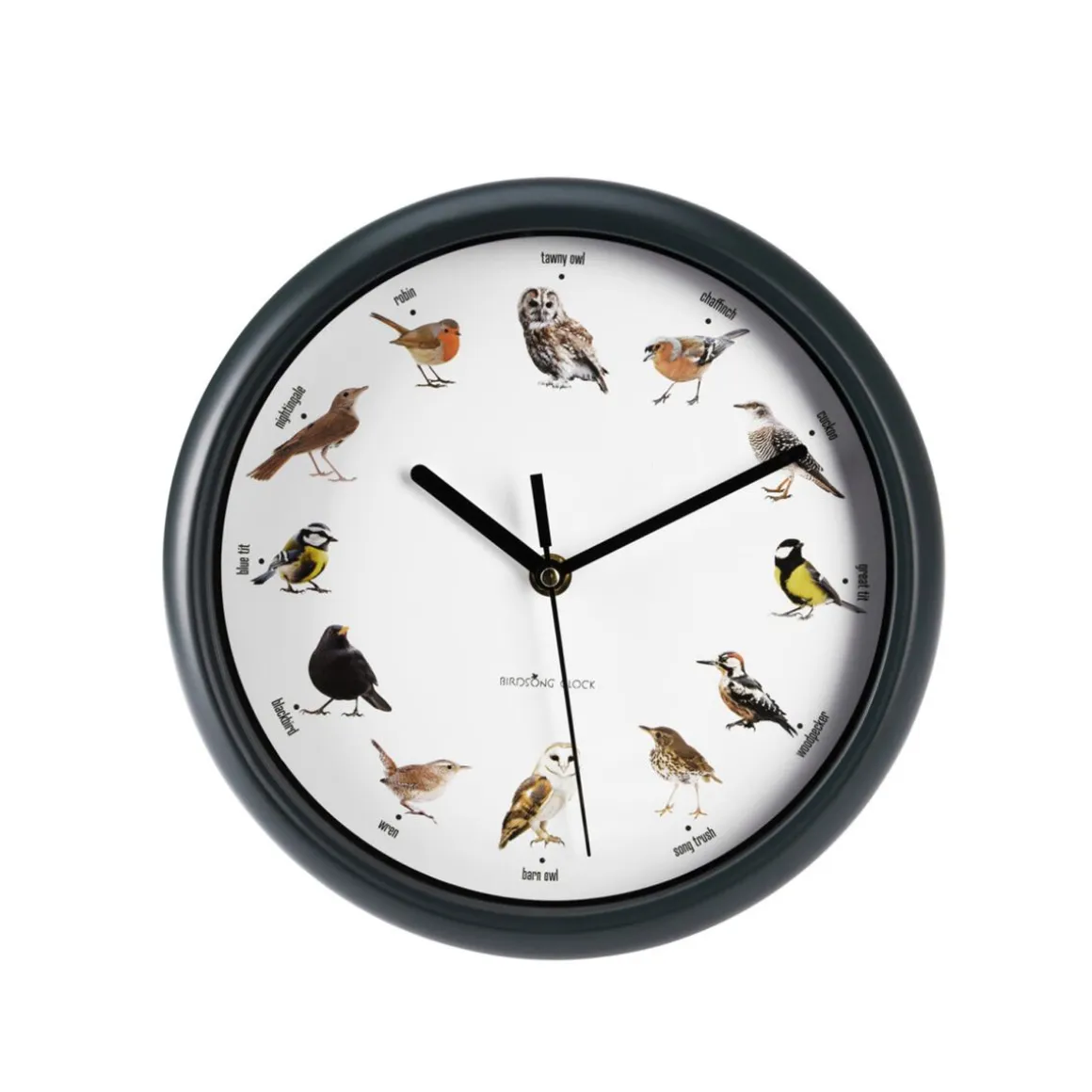 Wanduhr mit Vogelgeräuschen 25 cm