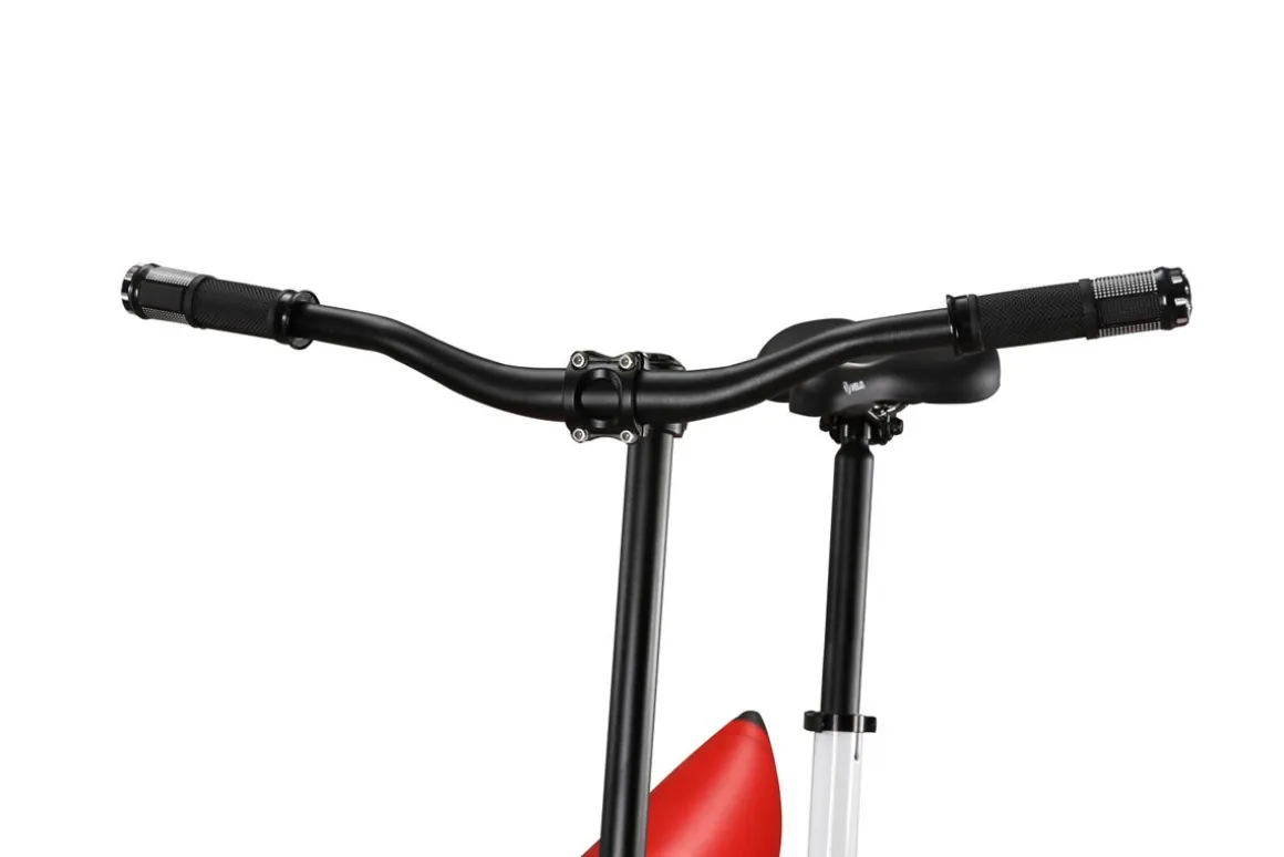 Wasserfahrrad Waterbike Tandem
