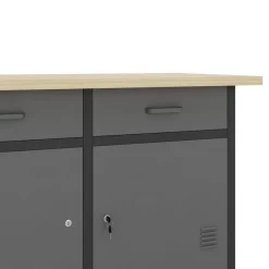 Werkbank mit Unterschrank 120 x 60 cm