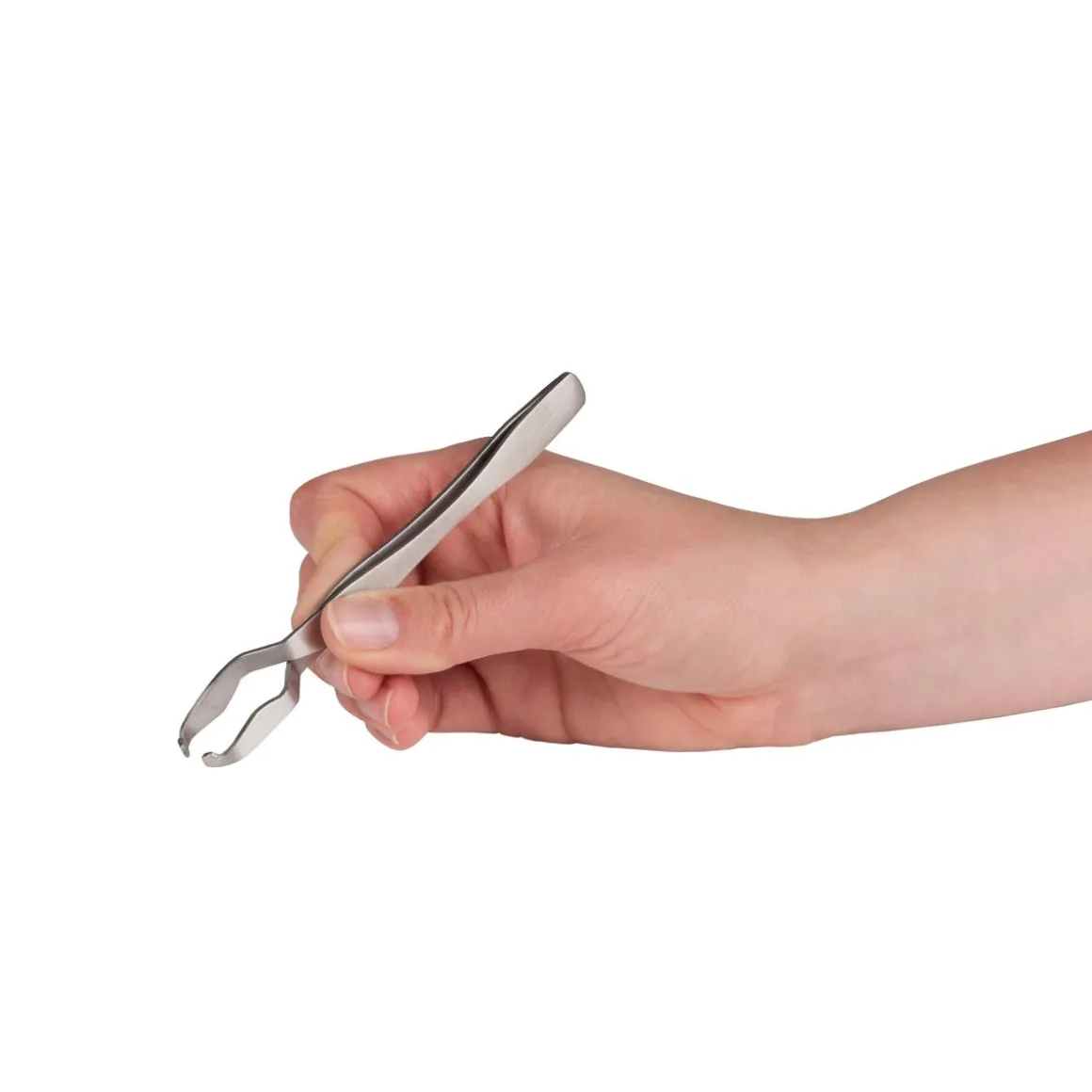 Zeckenzange 13 cm